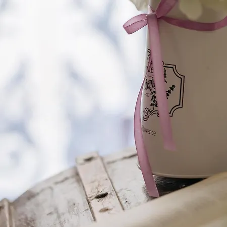 La Casa Di Aneti 公寓 *