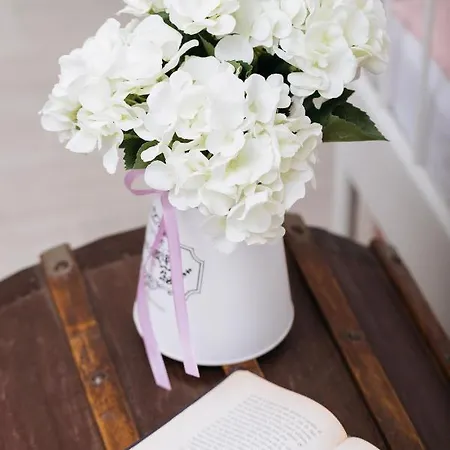 La Casa Di Aneti Apartman