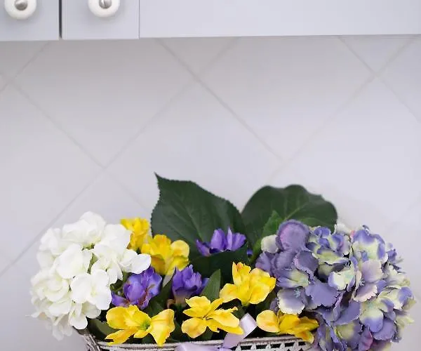 Διαμέρισμα La Casa Di Aneti Dolceacqua