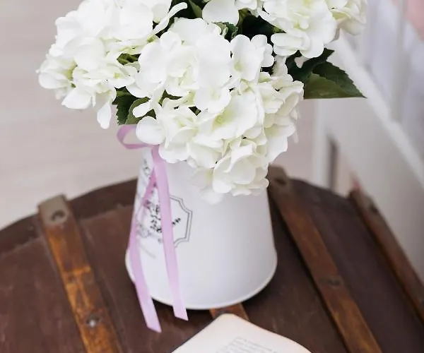 La Casa Di Aneti Apartamento